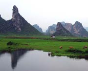 清远明天天气